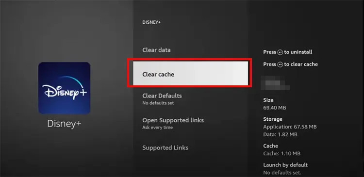 Does Amazon Fire TV Stick Work with Disney Plus DispCam