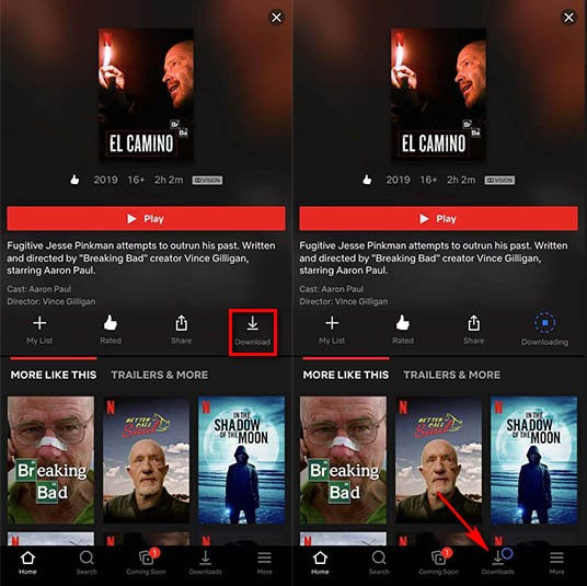 download netflix videos