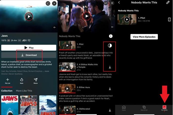 How Many People Can Watch Netflix at Once download netflix movies