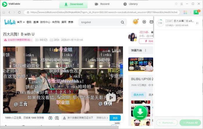 download video bilibili
